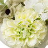 ホワイトグリーン WHITE GREEN